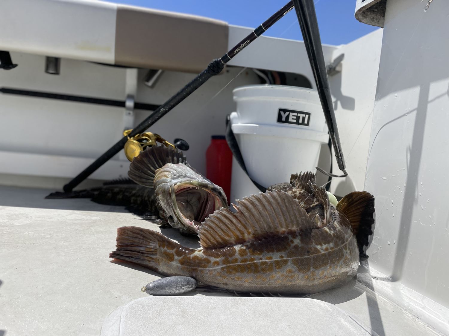 Rods and tackle aboard the boat